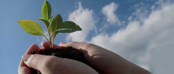 Sustainability