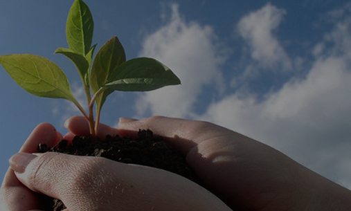 Sustainability